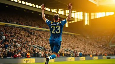 AFC Wimbledon Suffer Defeat Against Brentford
